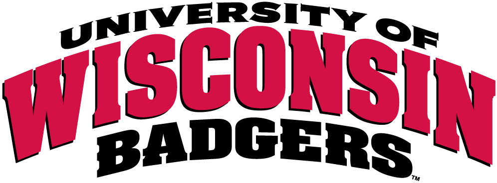 Wisconsin Badgers 2002-Pres Wordmark Logo iron on paper